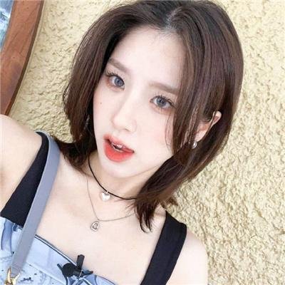 守法的盗贼